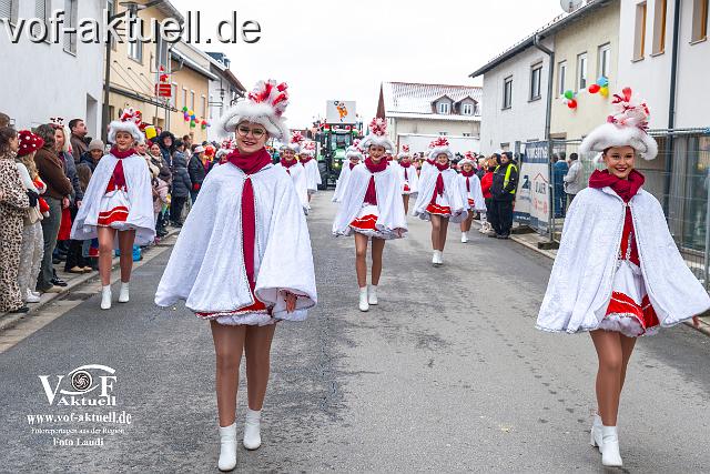 Foto Laudi_faschingszug_hofkirchen-45.jpg